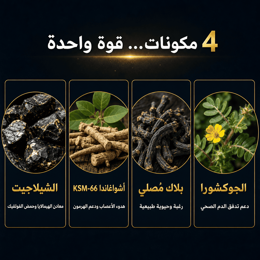 علكة الشيلَجيت للطاقة – لتأخير وتعزيز طبيعي